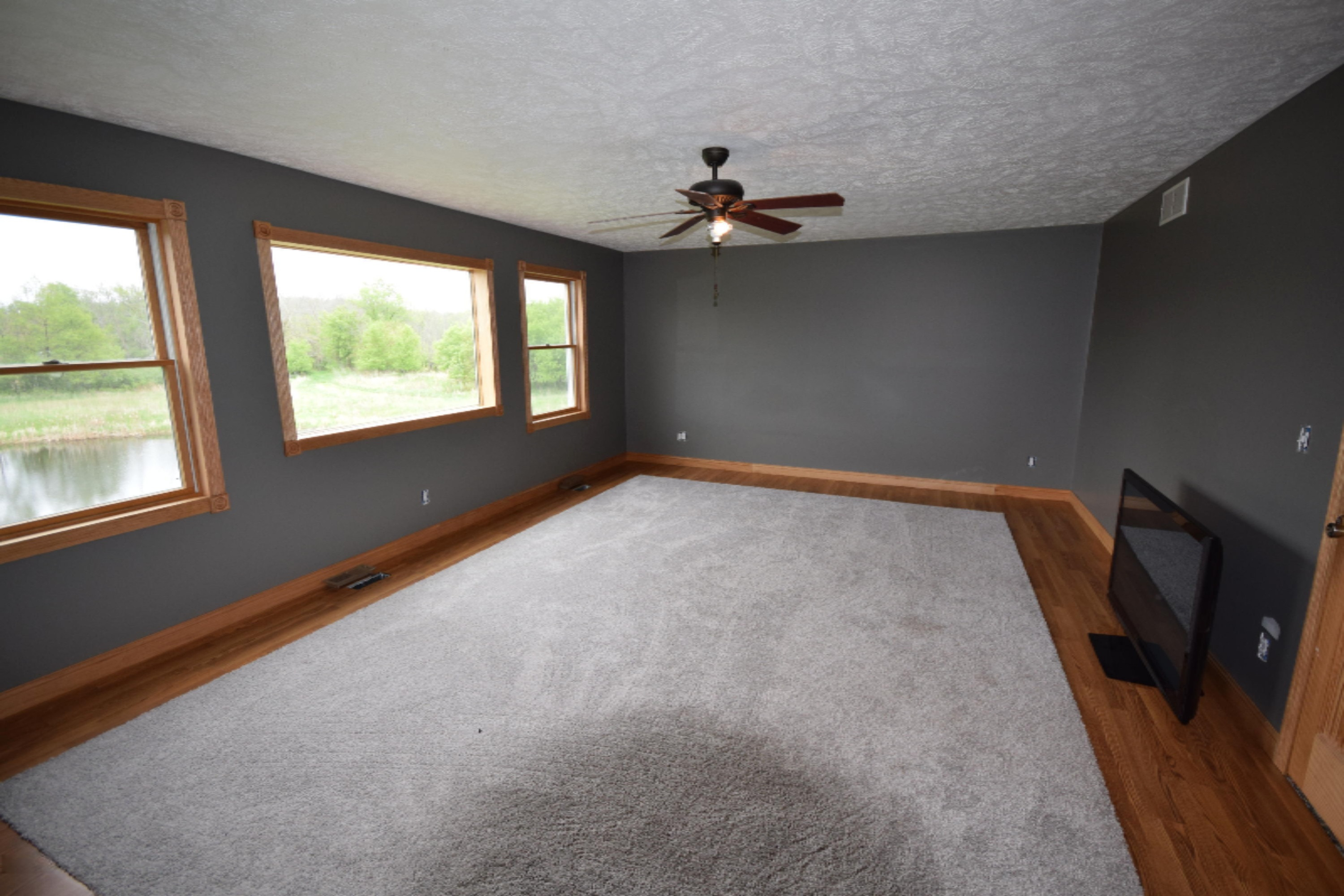 6197 South Ionia Bellevue, MI 49021 - Photo 28 of 39 DSC_0142