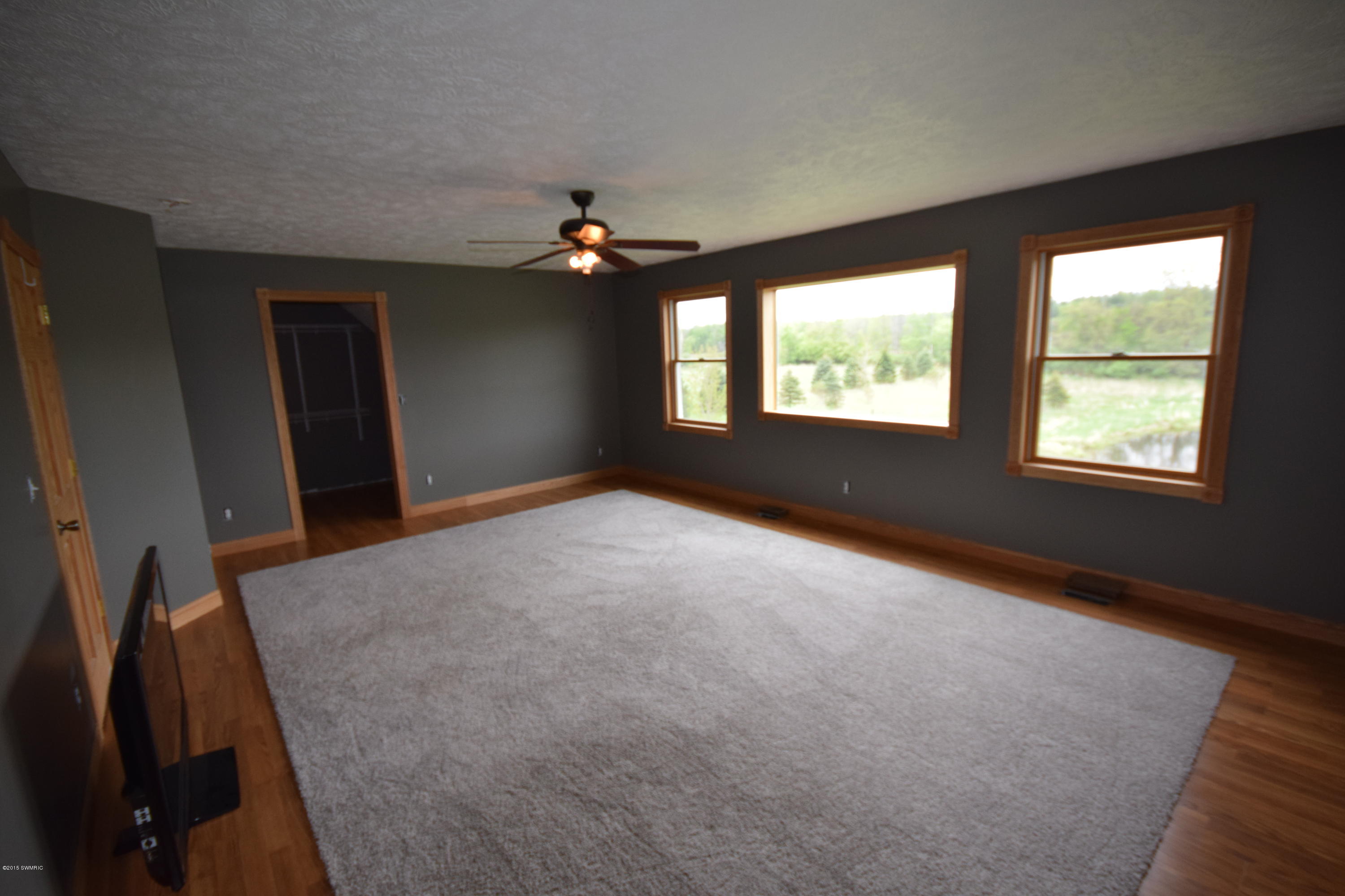 6197 South Ionia Bellevue, MI 49021 - Photo 29 of 39 DSC_0143
