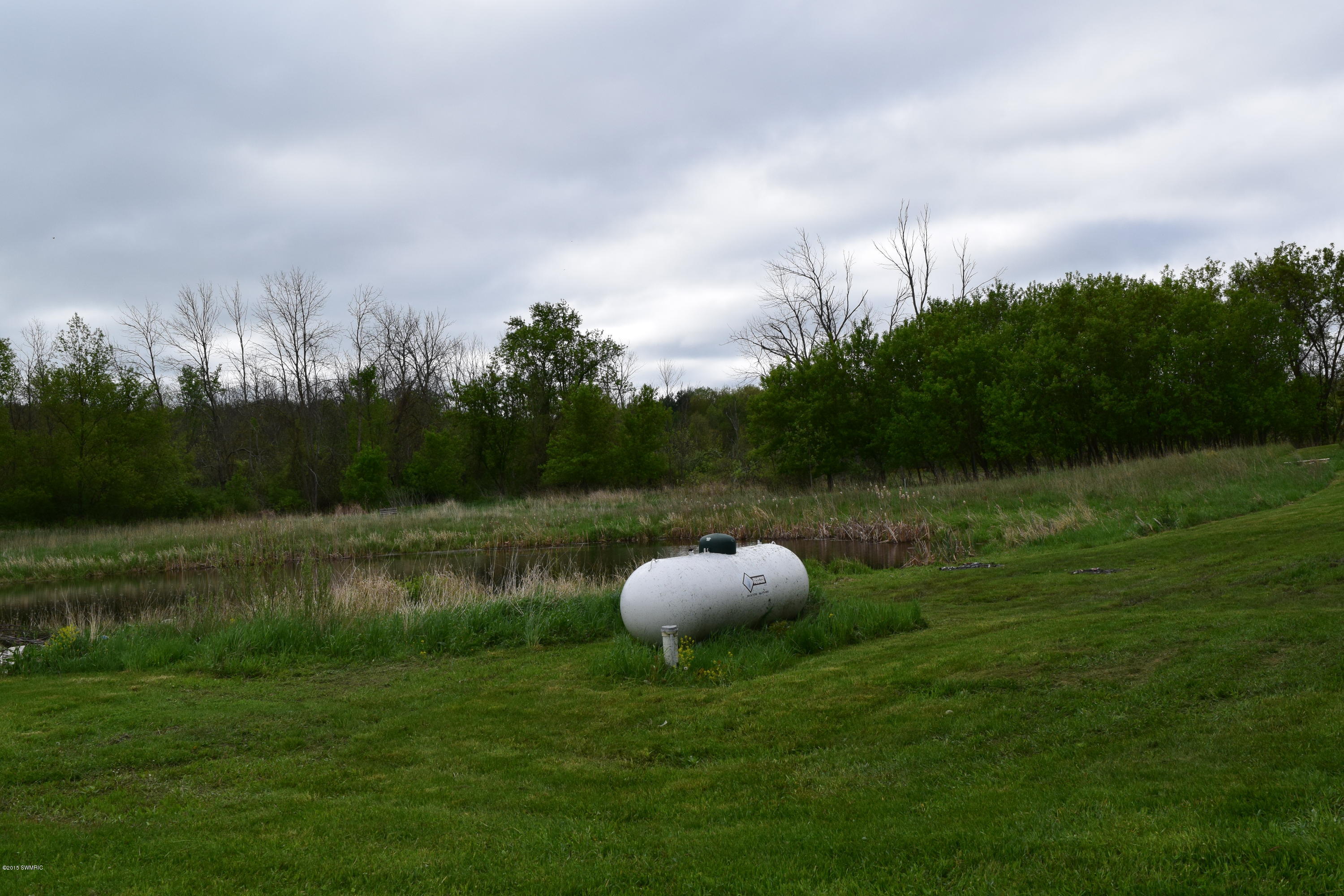 6197 South Ionia Bellevue, MI 49021 - Photo 5 of 39 DSC_0119