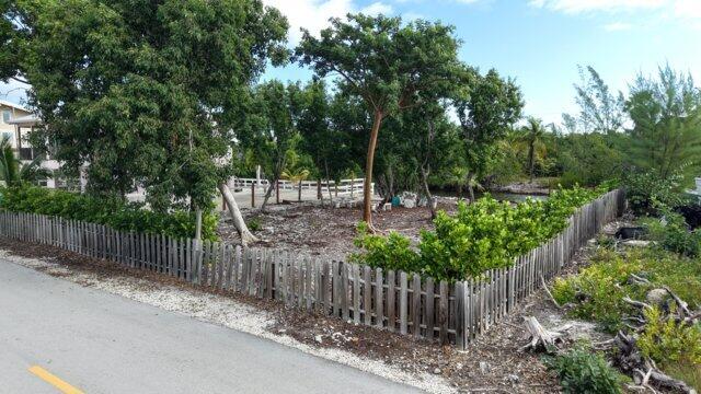 New signature hedge added