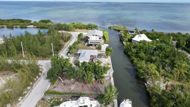 a view of a lake with a building in the background