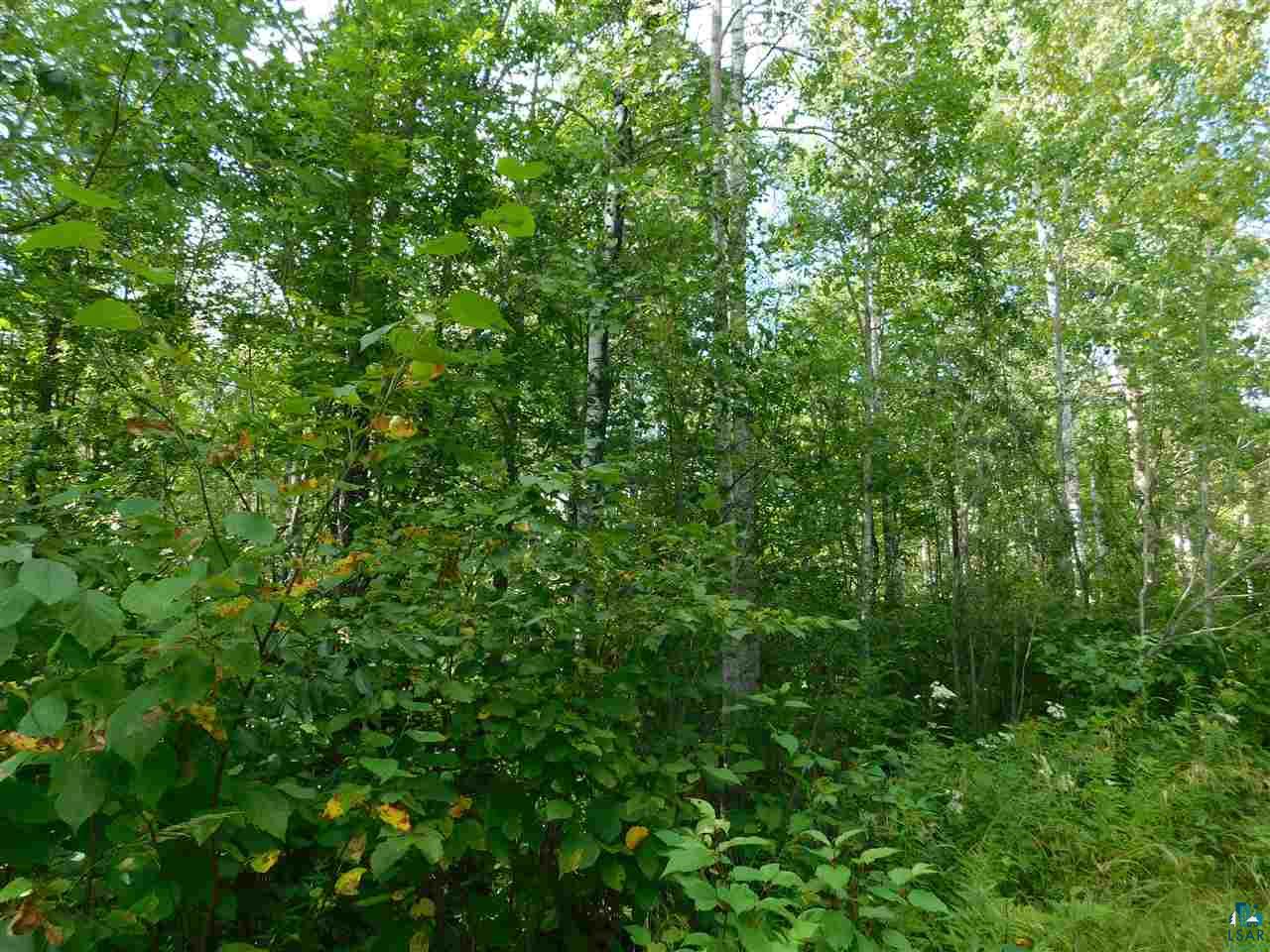 51-xx Seville Road Hermantown, MN 55811 - Photo 2 of 7 Gallery Image 2