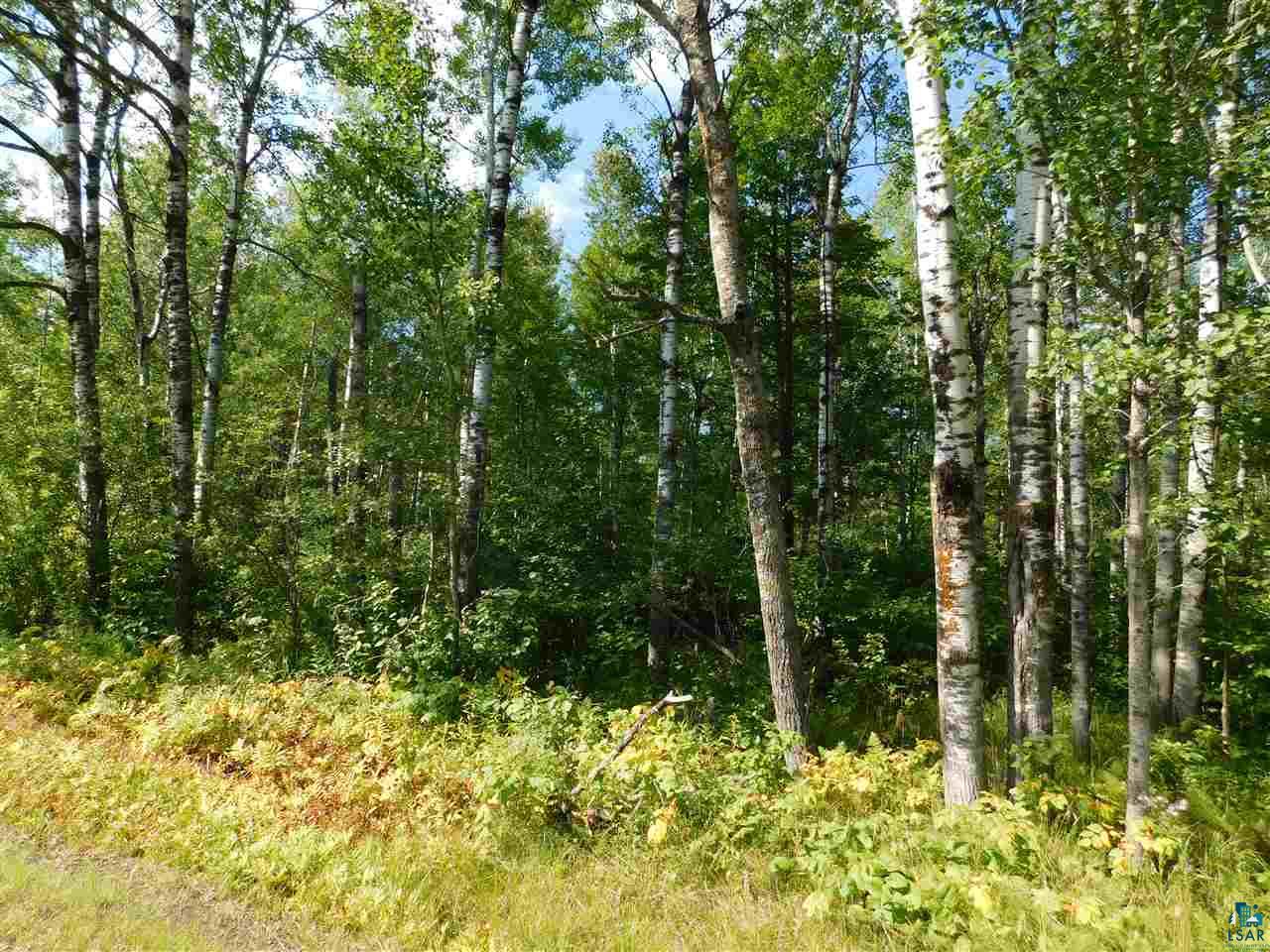 51-xx Seville Road Hermantown, MN 55811 - Photo 4 of 7 Gallery Image 4