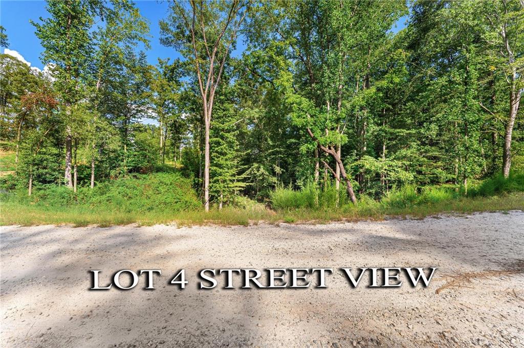 Lot 4 Stewart Loop Commerce, GA 30529 - Photo 5 of 12 a view of a sign board