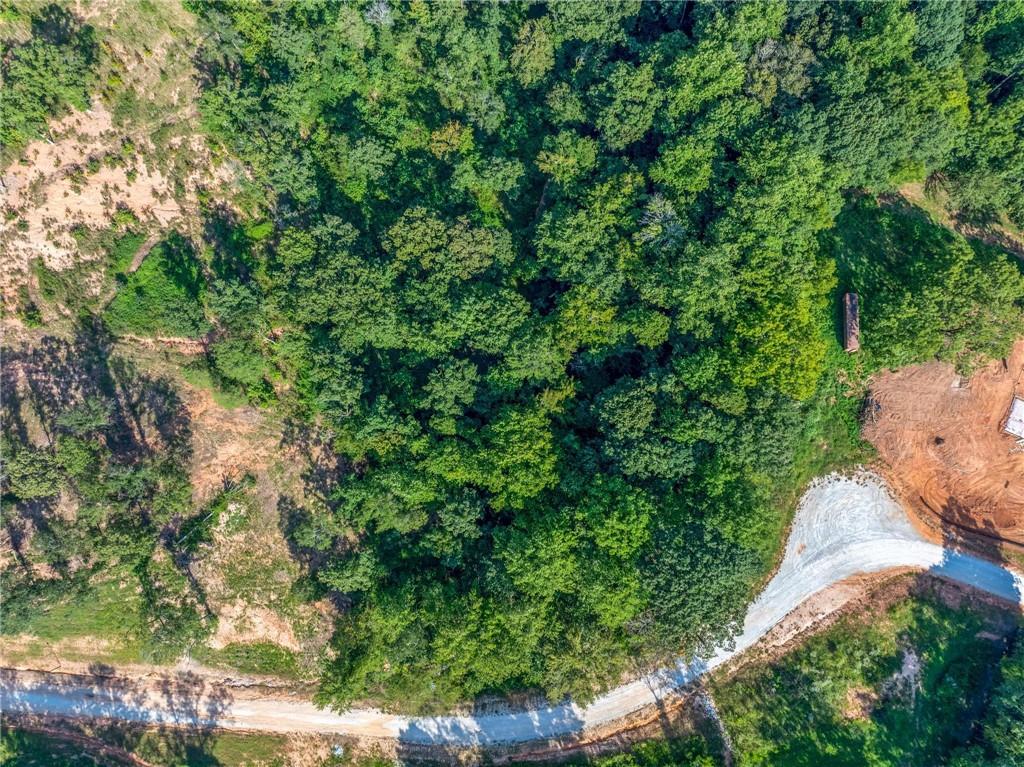 Lot 4 Stewart Loop Commerce, GA 30529 - Photo 6 of 12 a view of a yard with plants