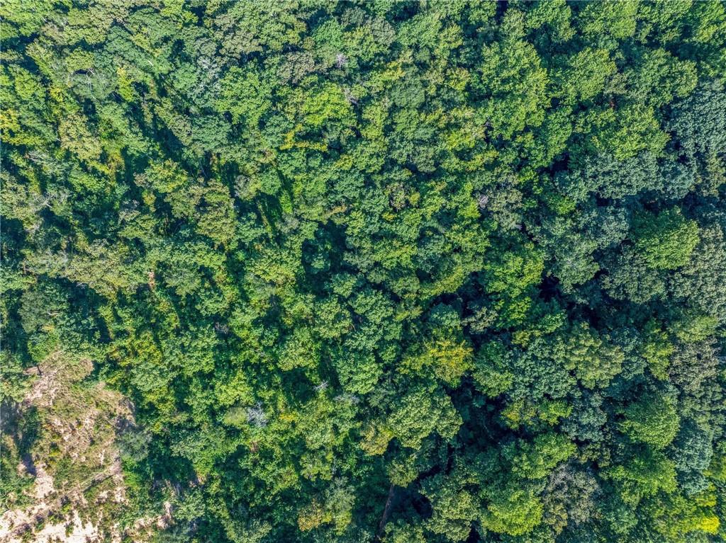 Lot 4 Stewart Loop Commerce, GA 30529 - Photo 7 of 12 a view of a lush green forest