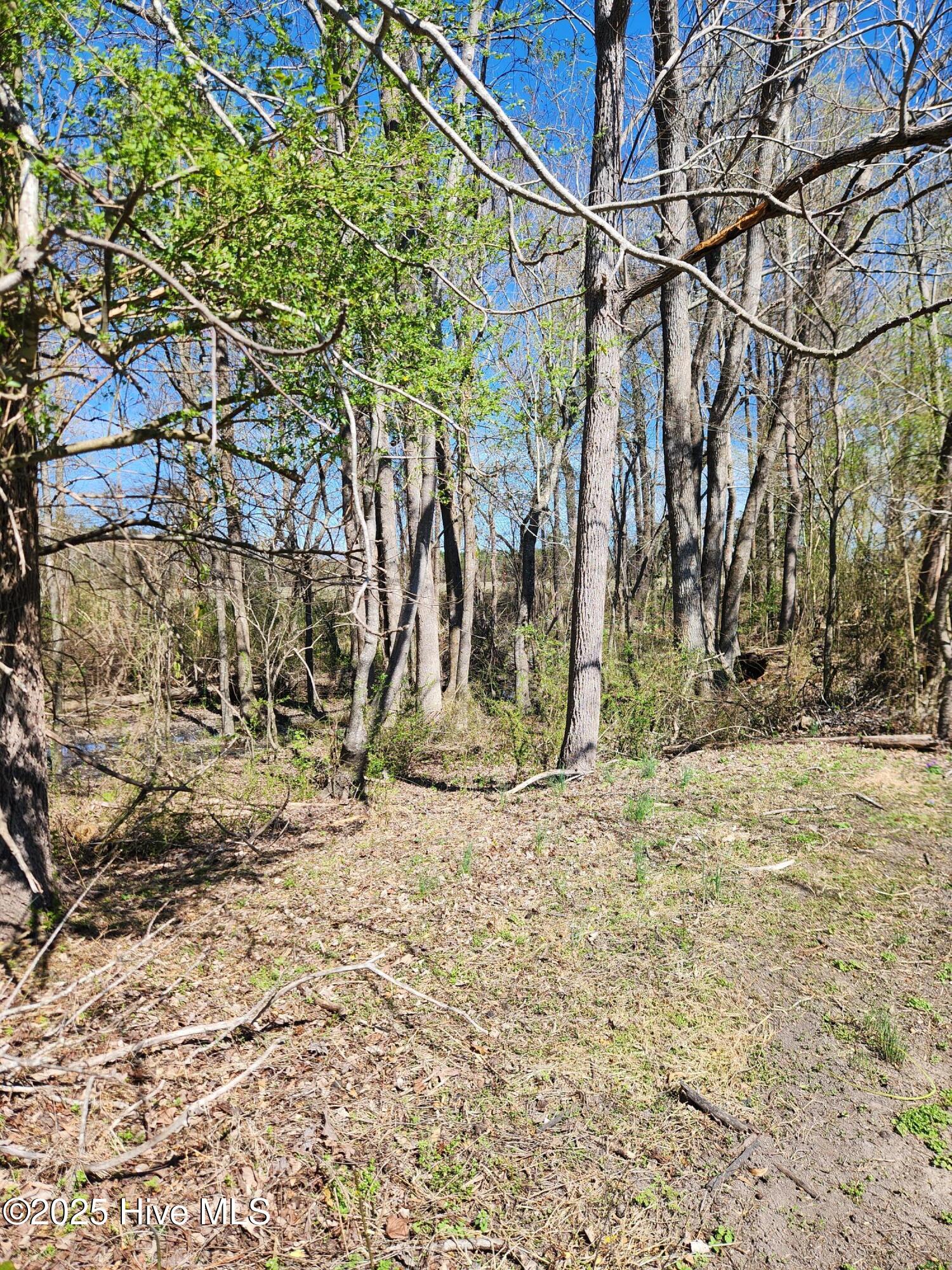 10355 Cherry Run Road Greenville, NC 27834 - Photo 37 of 41 1000003913