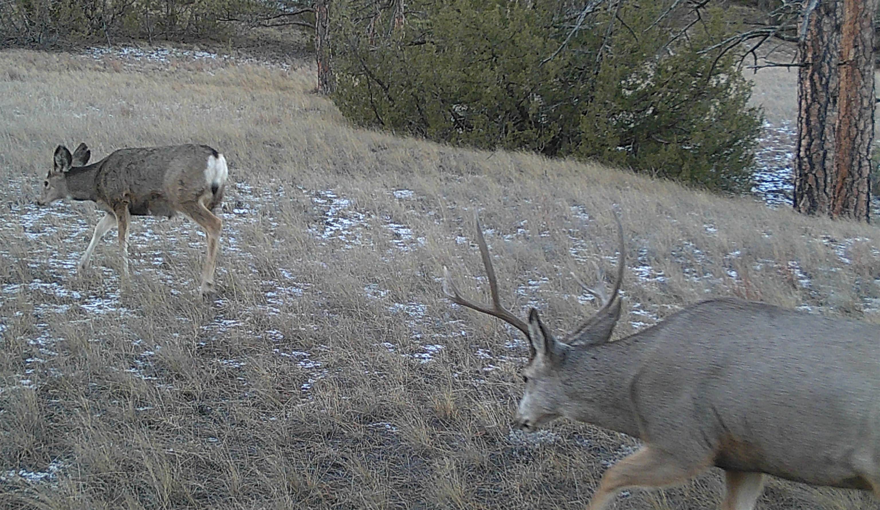 52 Wendover Road Guernsey, WY 82214 - Photo 33 of 42