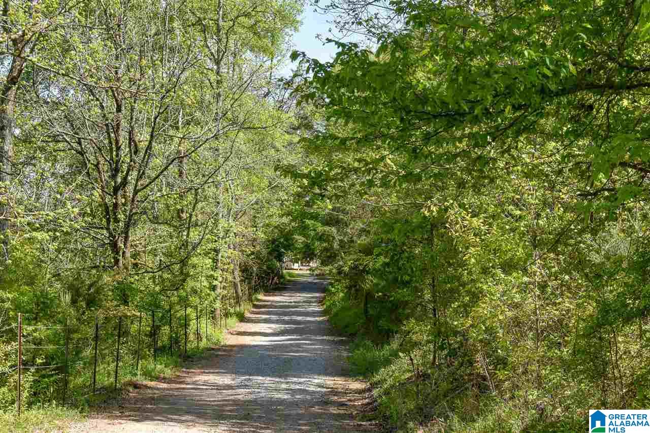 471 Toadvine Road, Unit ACREAGE Bessemer, AL 35023 - Photo 3 of 12 Gallery Image 3