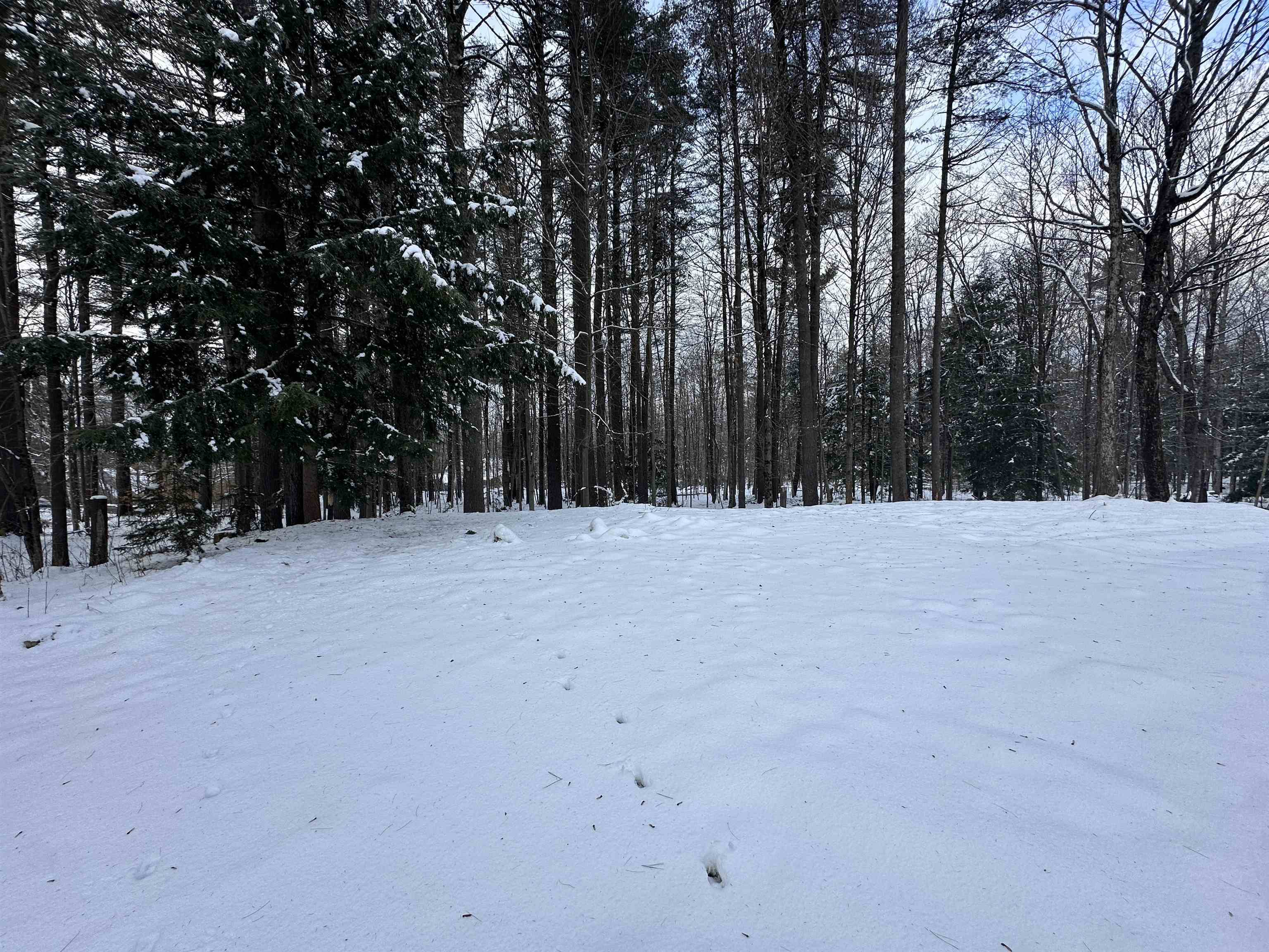 186 Page Road New London, NH 03257 - Photo 6 of 8 Gallery Image 6