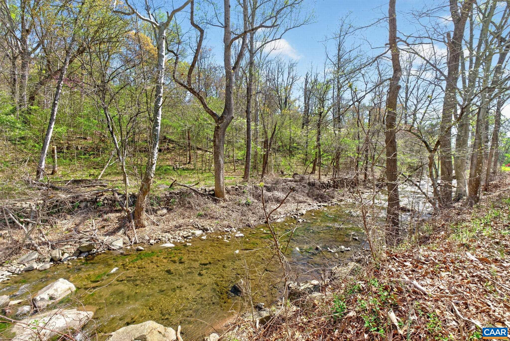 689 Mutton Hollow Road Stanardsville, VA 22973 - Photo 28 of 61 a view of backyard of green space