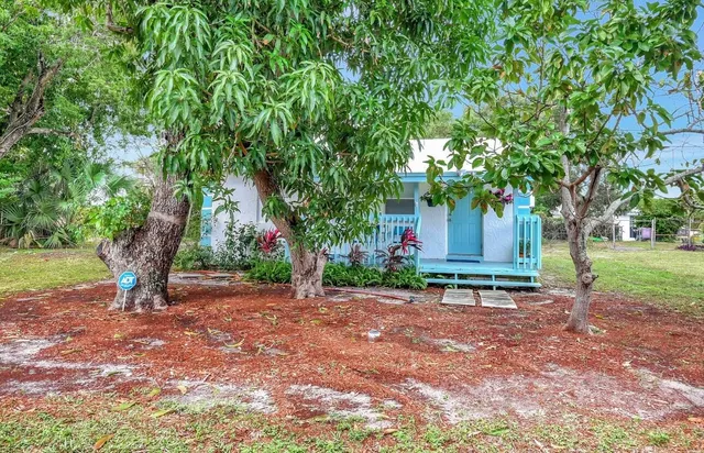 a view of a yard with plants and trees