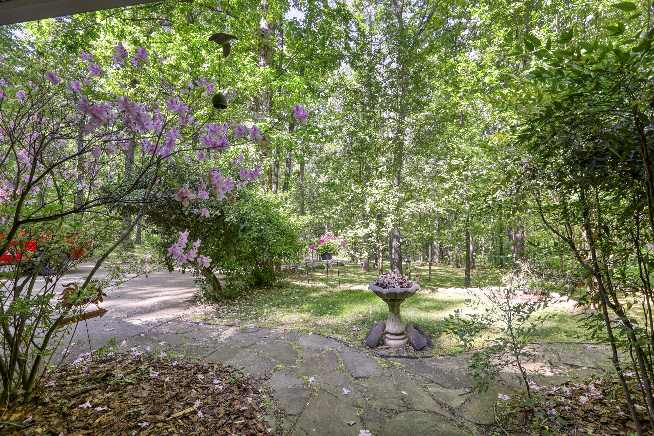 132 Rabbit Run Way Dandridge, TN 37725 - Photo 33 of 44 BG. 132 Rabbit Run. Dandridge MLSb (32