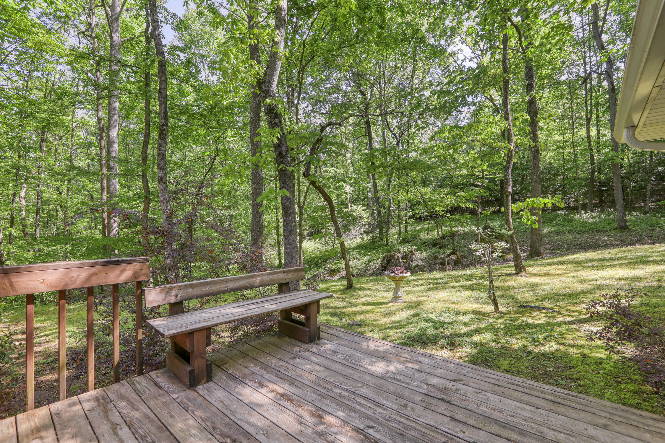 132 Rabbit Run Way Dandridge, TN 37725 - Photo 36 of 44 BG. 132 Rabbit Run. Dandridge MLSb (35