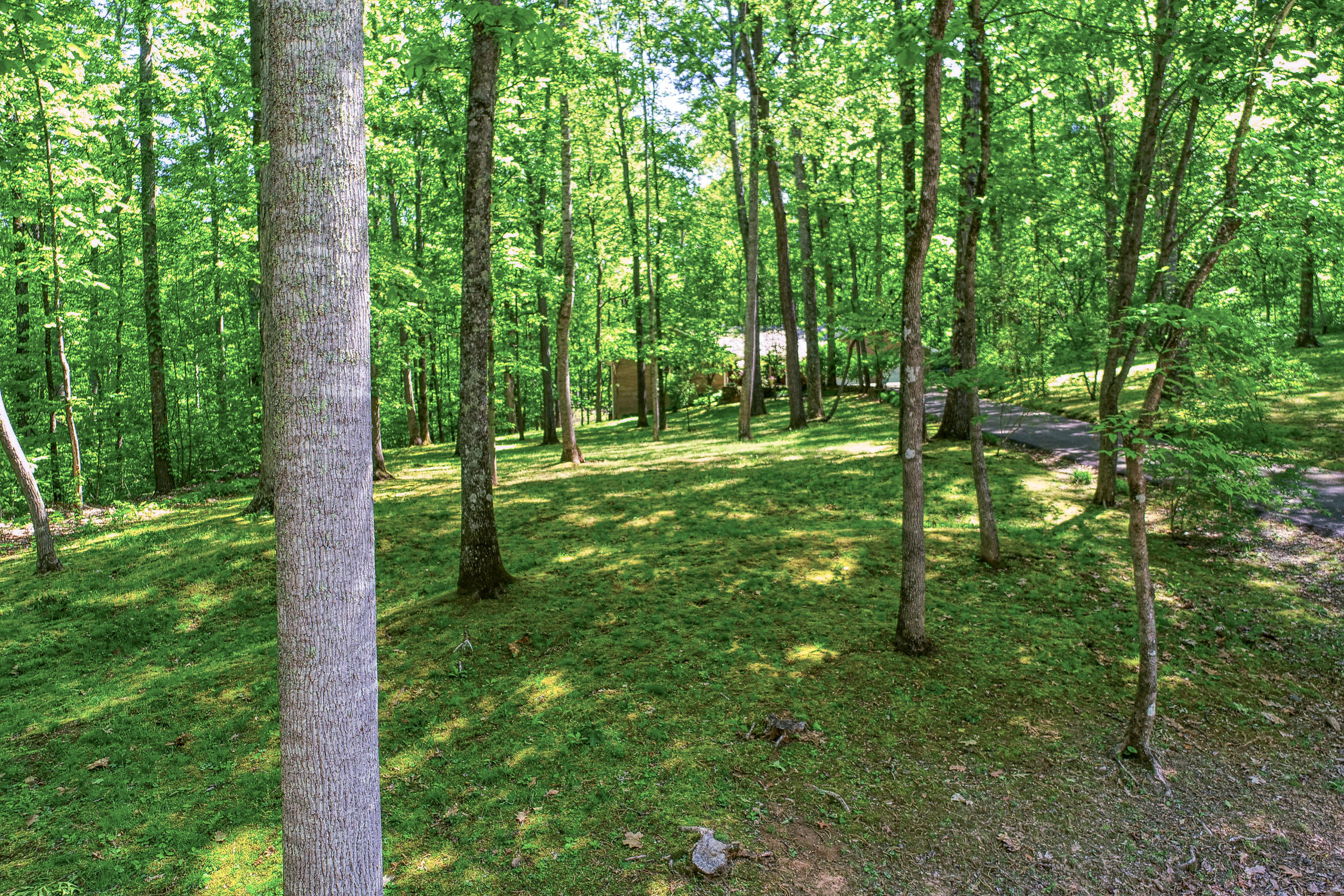 132 Rabbit Run Way Dandridge, TN 37725 - Photo 38 of 44 BG. 132 Rabbit Run. Dandridge MLSa (1 o