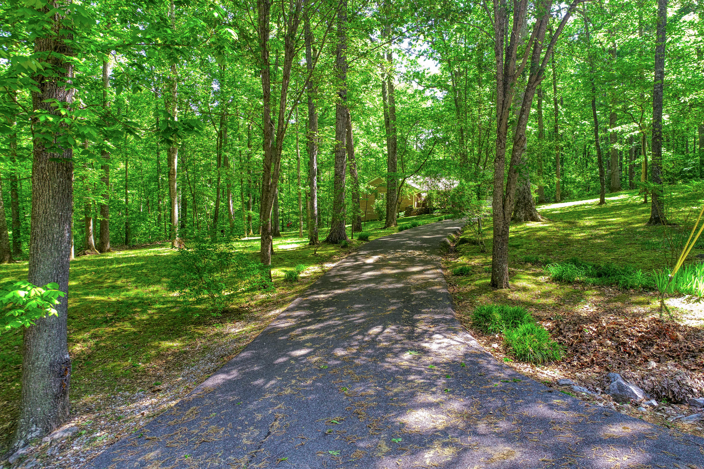 132 Rabbit Run Way Dandridge, TN 37725 - Photo 39 of 44 BG. 132 Rabbit Run. Dandridge MLSa (2 o