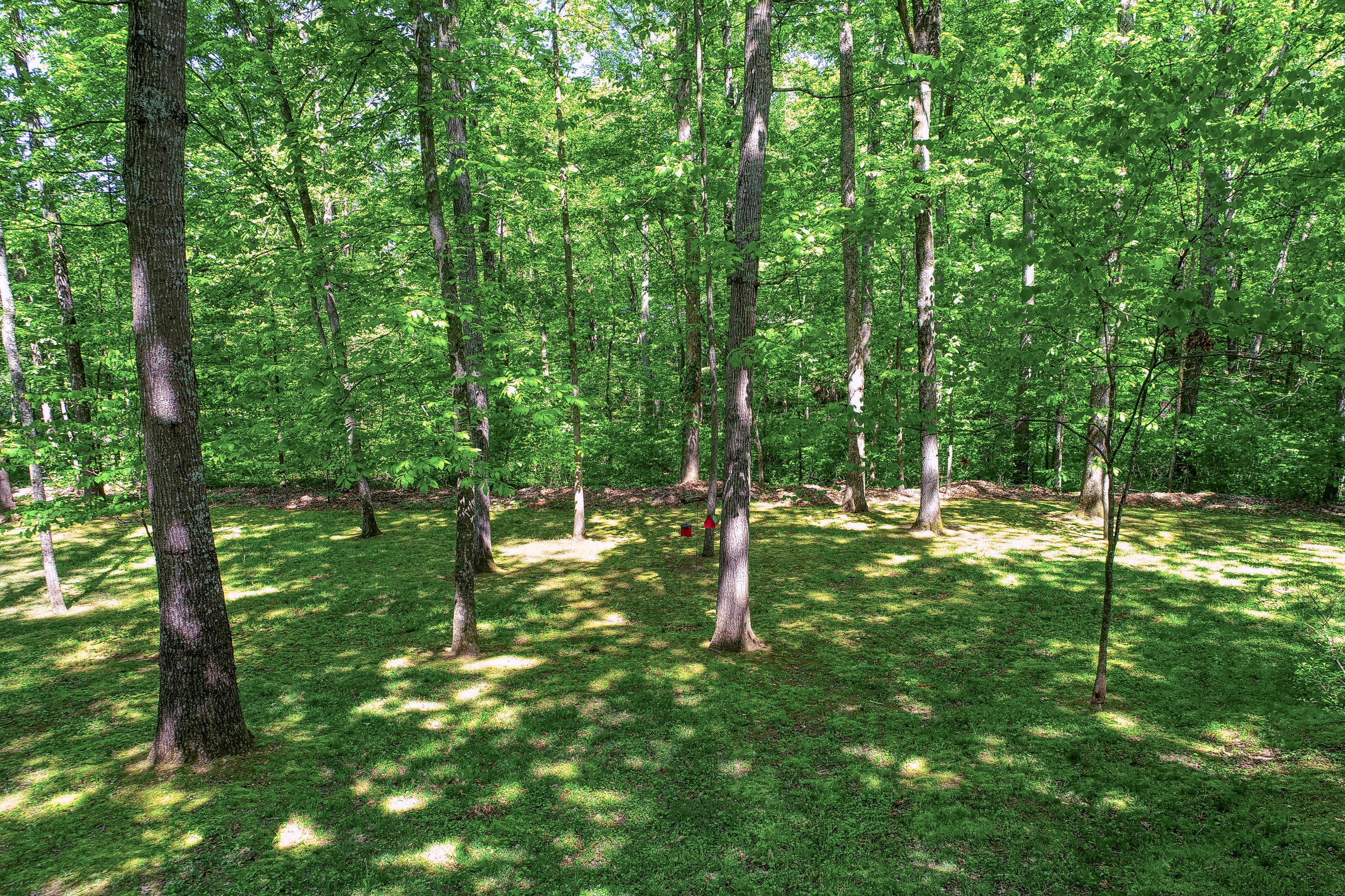 132 Rabbit Run Way Dandridge, TN 37725 - Photo 40 of 44 BG. 132 Rabbit Run. Dandridge MLSa (7 o