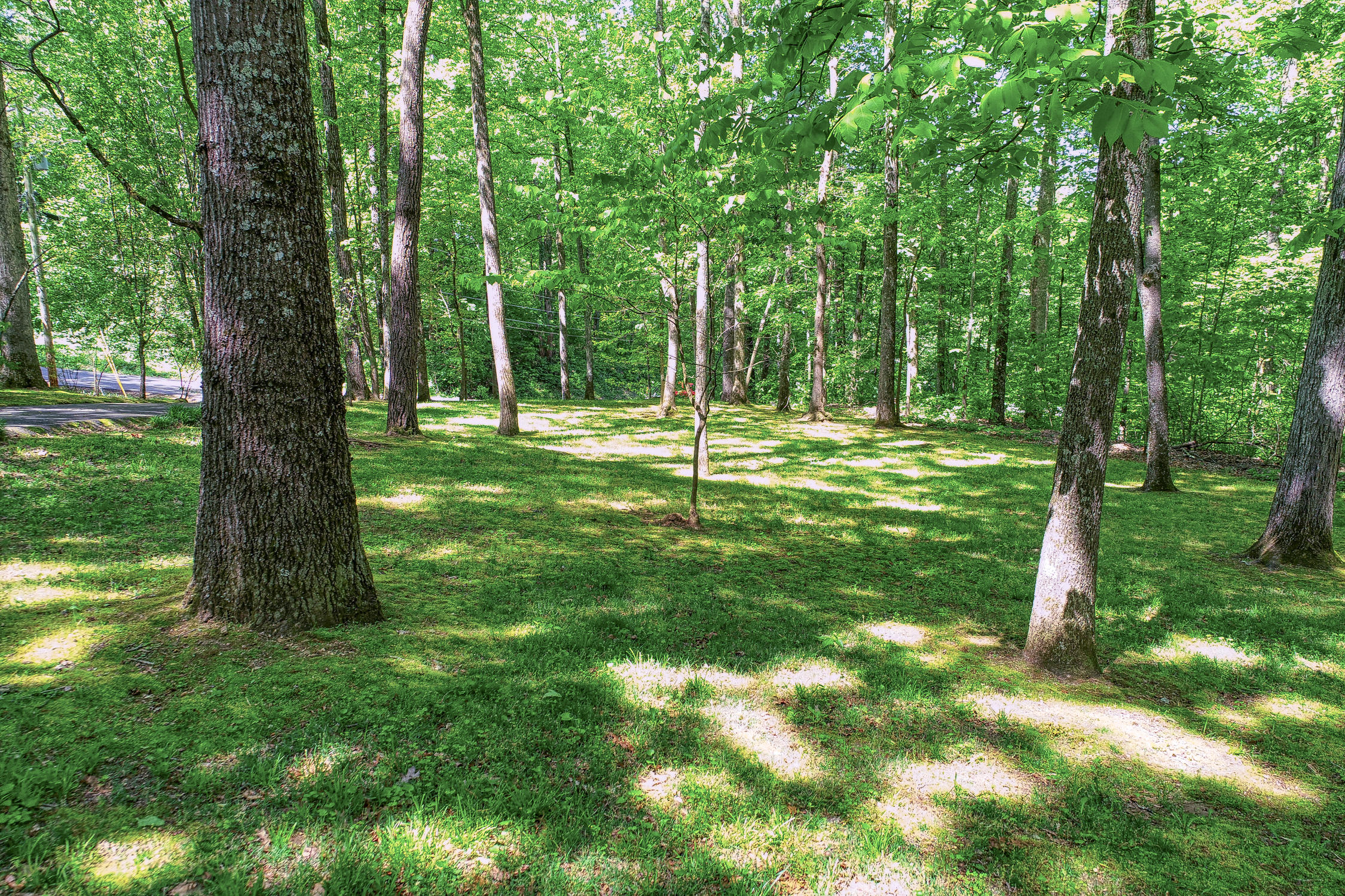 132 Rabbit Run Way Dandridge, TN 37725 - Photo 41 of 44 BG. 132 Rabbit Run. Dandridge MLSa (8 o