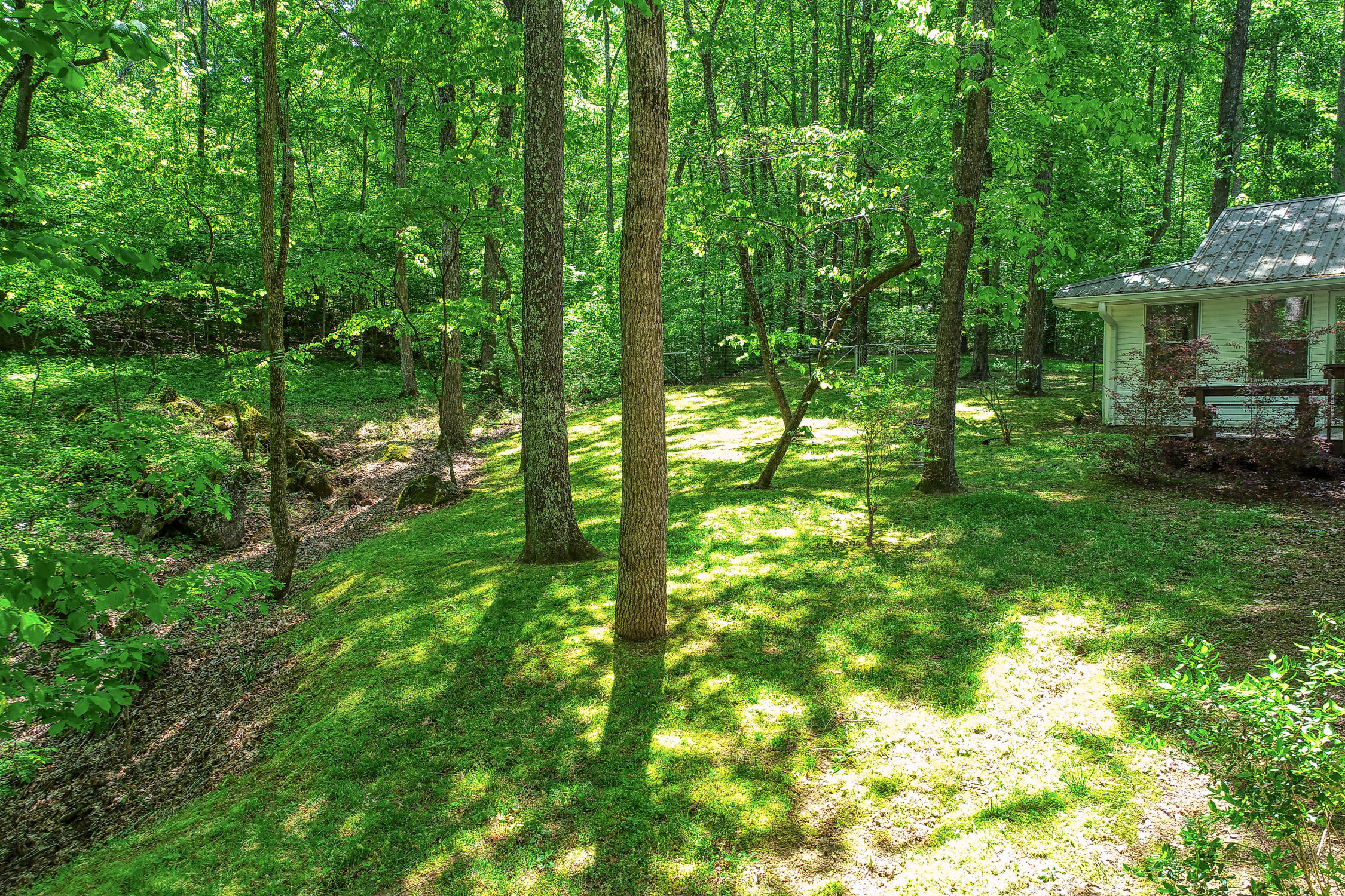 132 Rabbit Run Way Dandridge, TN 37725 - Photo 43 of 44 BG. 132 Rabbit Run. Dandridge MLSa (11