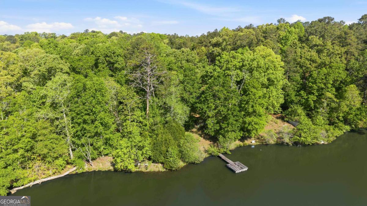245 Sweet Gum Road Mansfield, GA 30055 - Photo 6 of 36