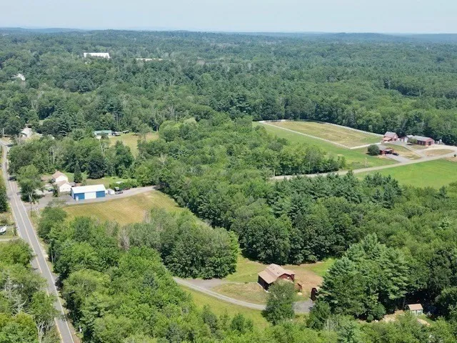 an aerial view of green landscape with trees houses and mountain view