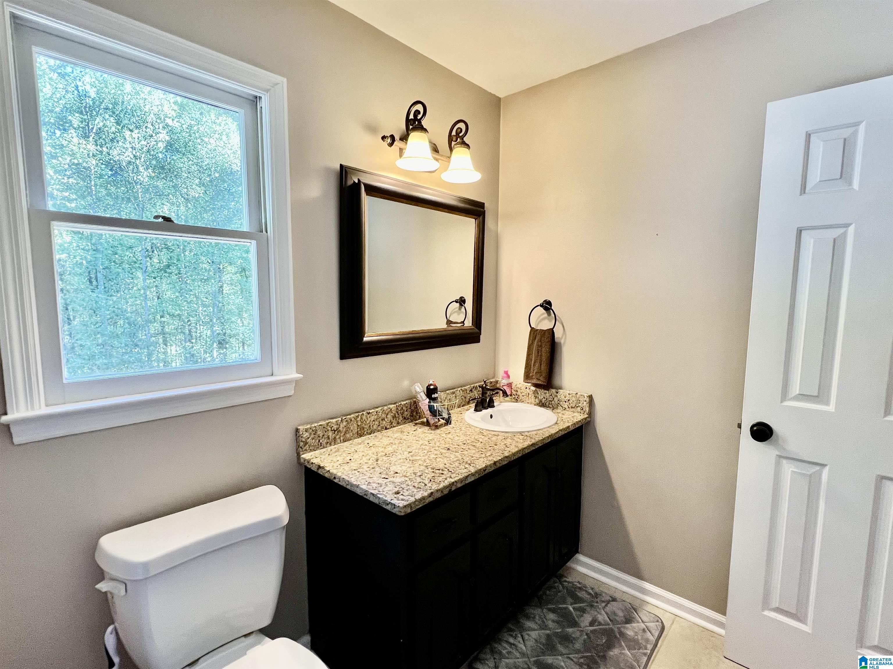 6042 Springview Drive Mount Olive, AL 35117 - Photo 35 of 55