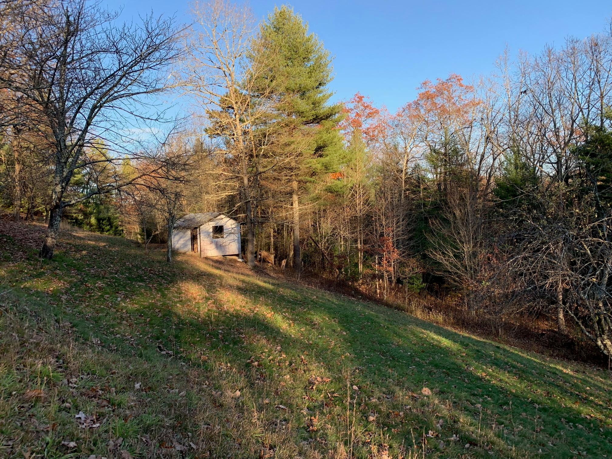274 Highland Road Gap Mills, WV 24941 - Photo 10 of 14 Gallery Image 10