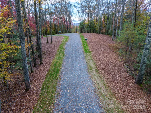 a view of a park with large trees
