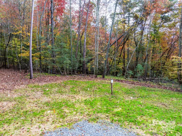 a view of a town with mountains in the background