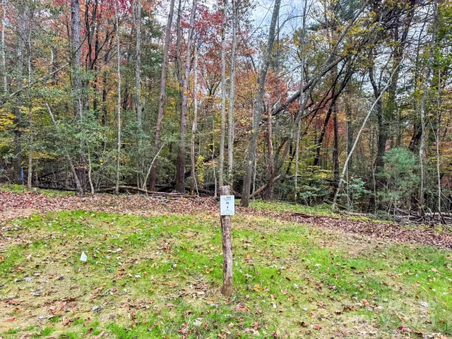 a view of an outdoor space with a mountain