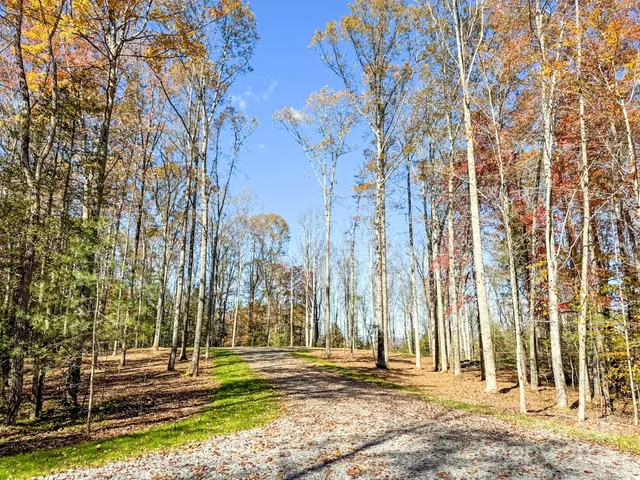 a view of a park with large trees