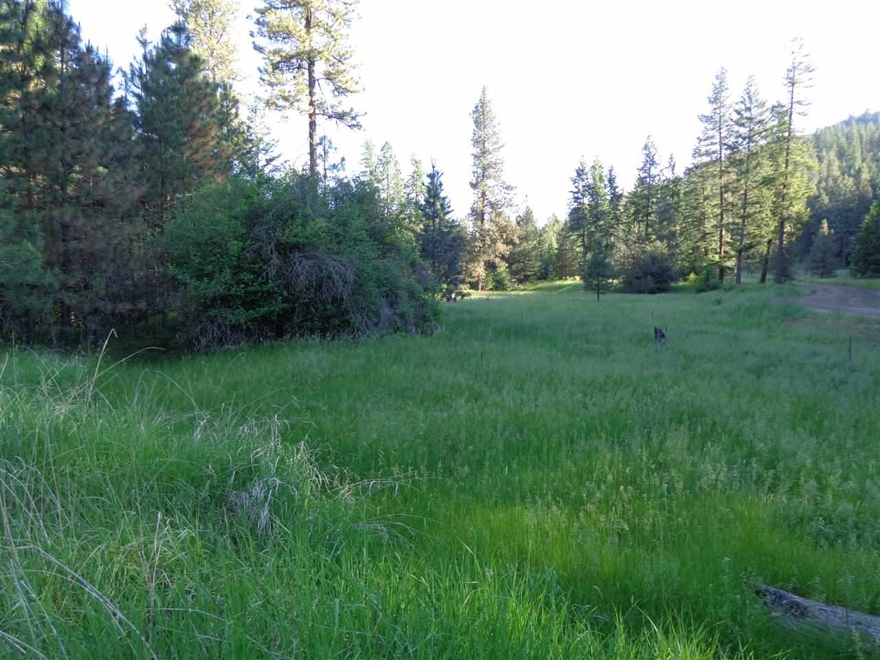 Xxx Hall Creek Road Inchelium, WA 99138 - Photo 2 of 15