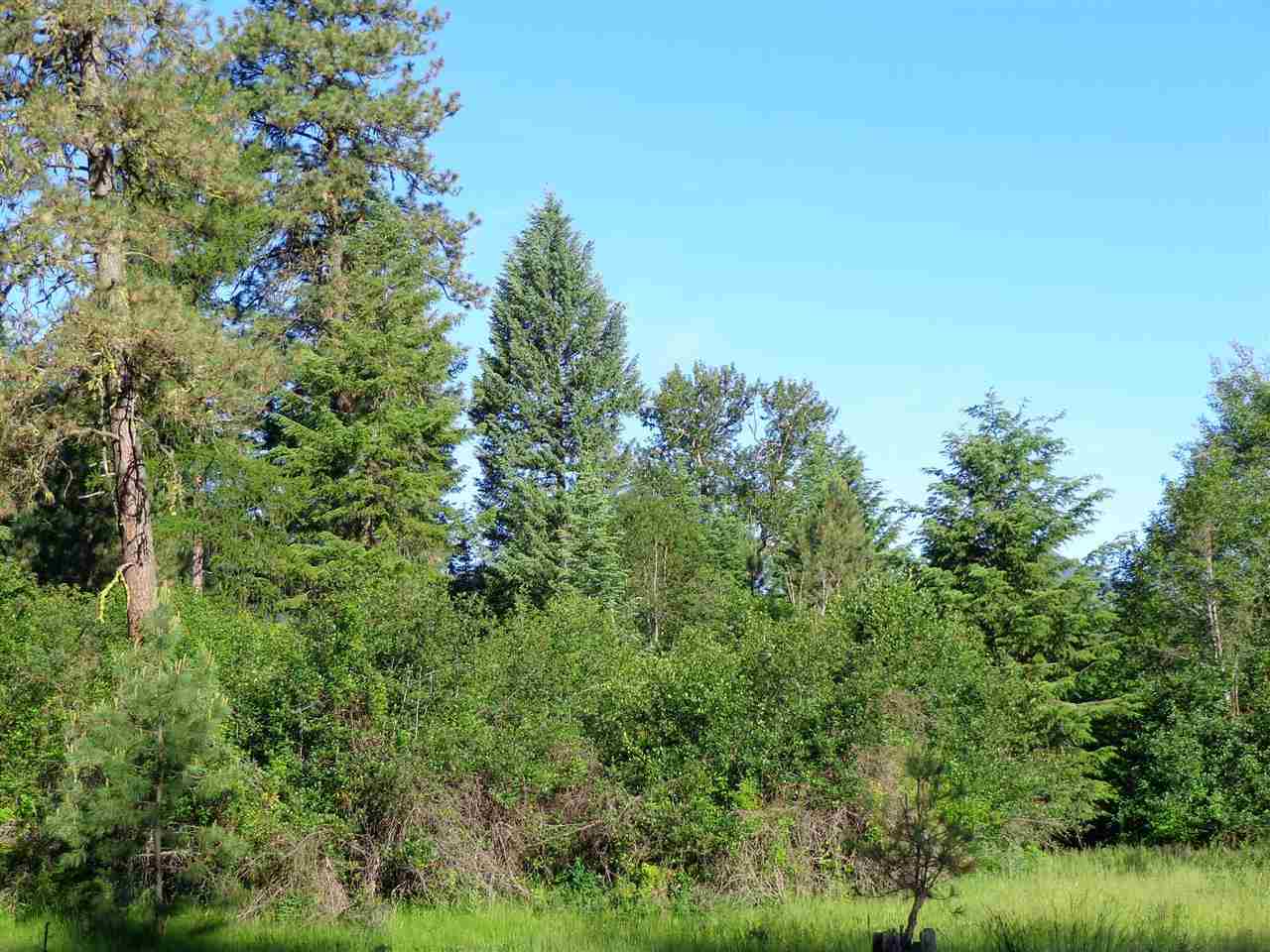 Xxx Hall Creek Road Inchelium, WA 99138 - Photo 11 of 15