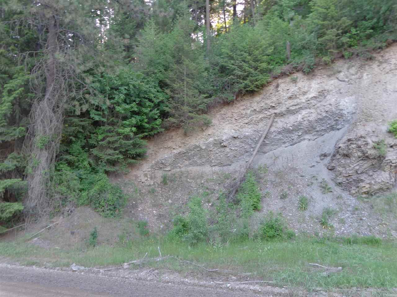 Xxx Hall Creek Road Inchelium, WA 99138 - Photo 12 of 15