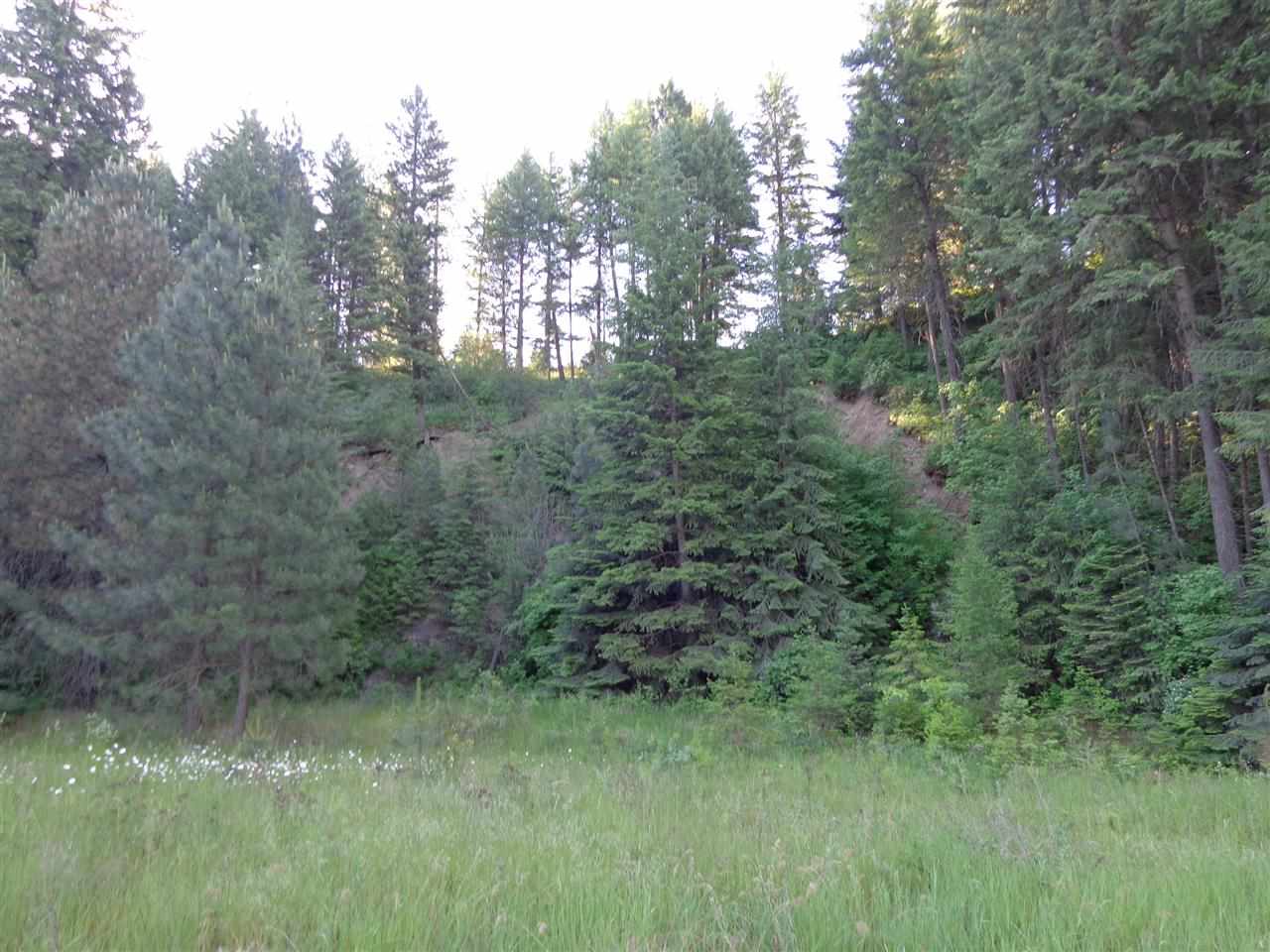 Xxx Hall Creek Road Inchelium, WA 99138 - Photo 14 of 15