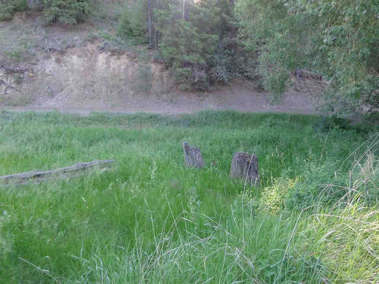 Xxx Hall Creek Road Inchelium, WA 99138 - Photo 3 of 15