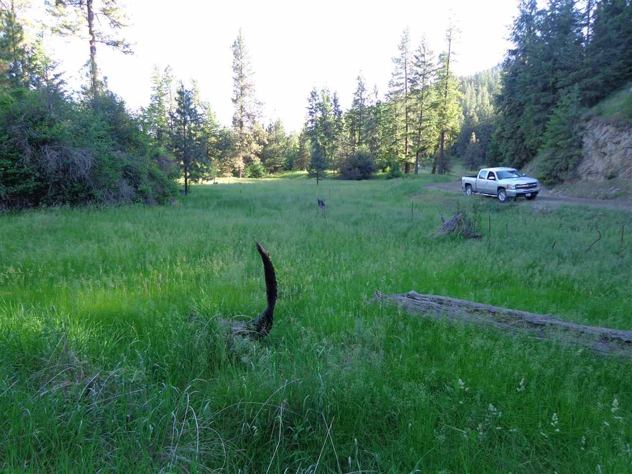 Xxx Hall Creek Road Inchelium, WA 99138 - Photo 4 of 15