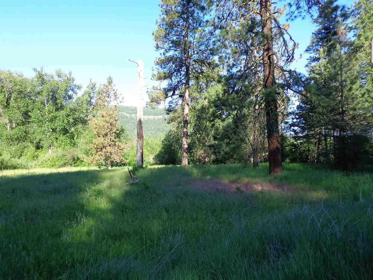 Xxx Hall Creek Road Inchelium, WA 99138 - Photo 5 of 15
