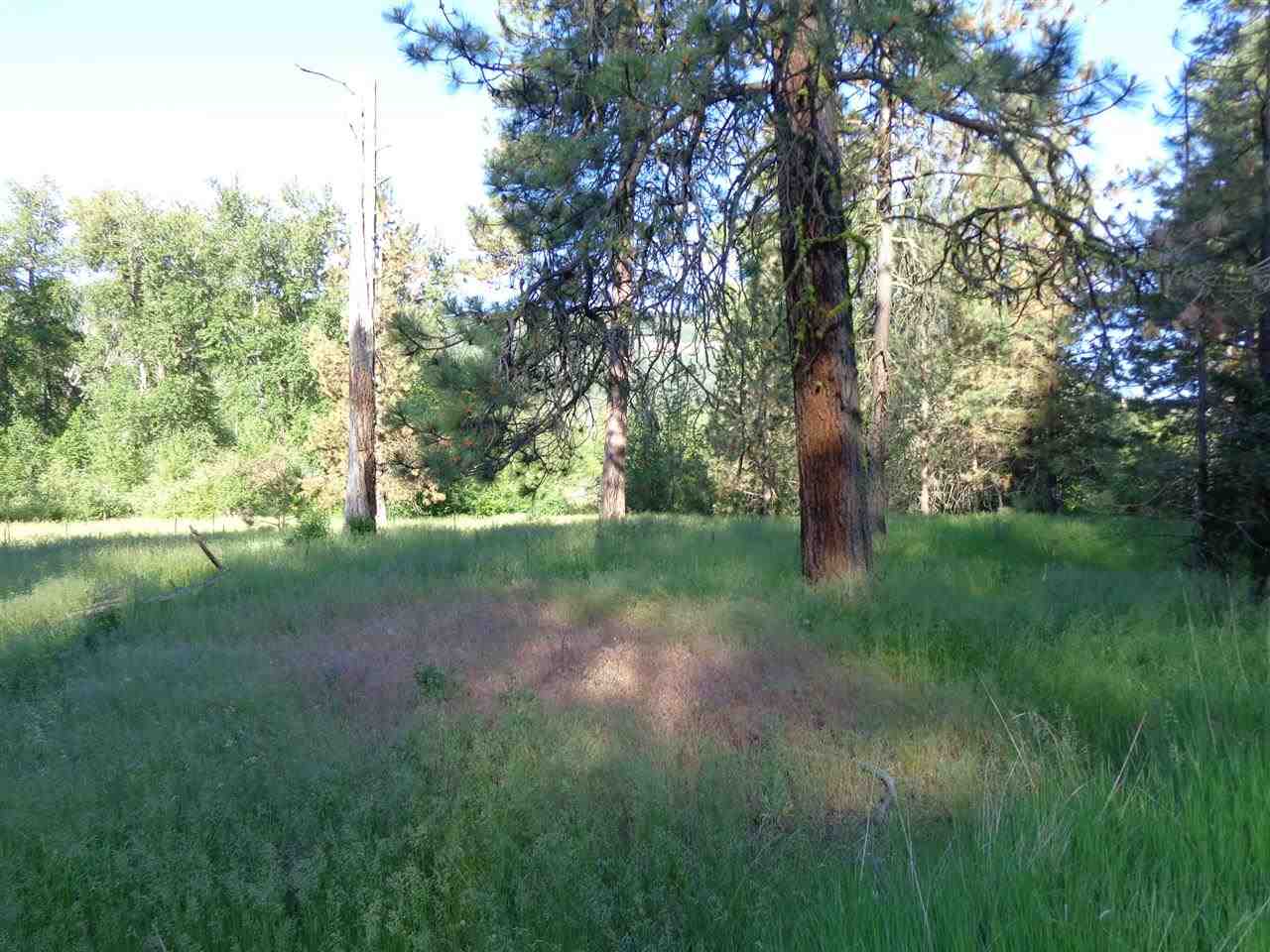 Xxx Hall Creek Road Inchelium, WA 99138 - Photo 6 of 15