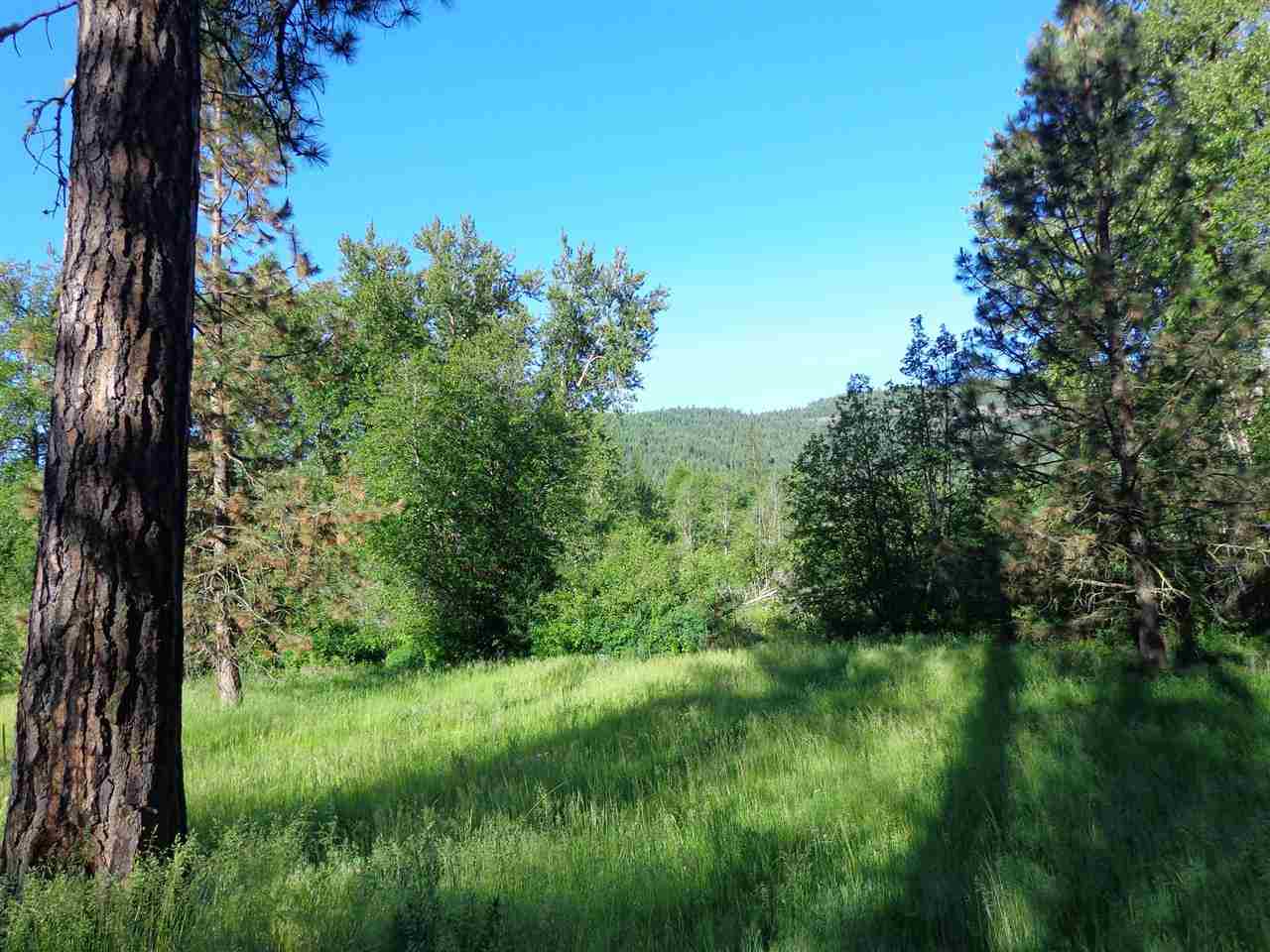 Xxx Hall Creek Road Inchelium, WA 99138 - Photo 7 of 15