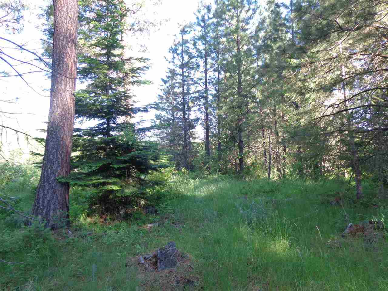 Xxx Hall Creek Road Inchelium, WA 99138 - Photo 8 of 15