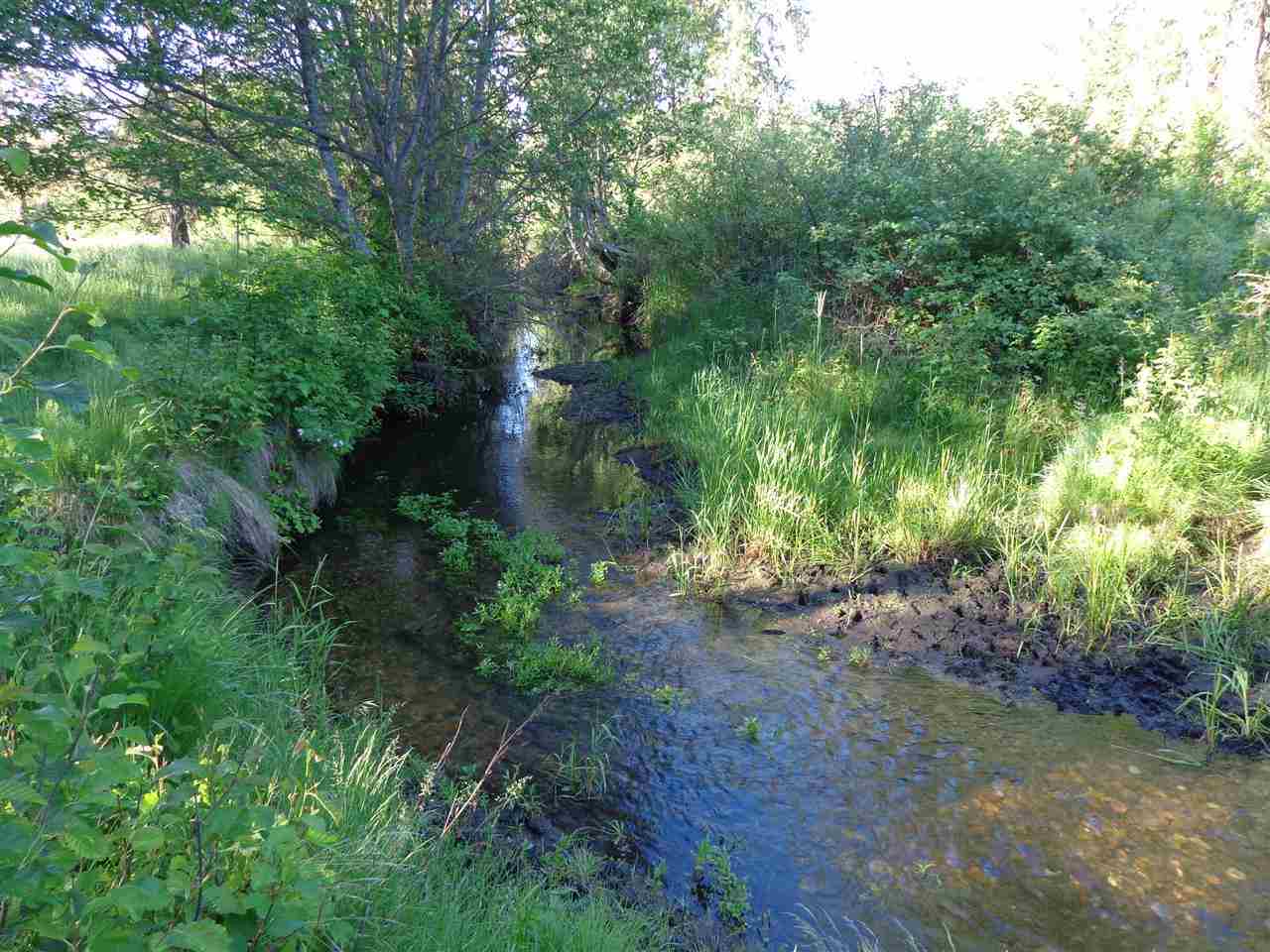 Xxx Hall Creek Road Inchelium, WA 99138 - Photo 9 of 15