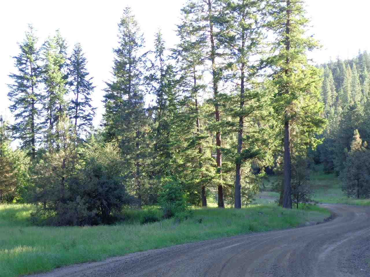 Xxx Hall Creek Road Inchelium, WA 99138 - Photo 10 of 15