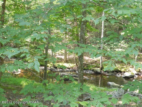 734 Decker Road Bushkill, PA 18324 - Photo 16 of 18 a backyard of a building with lots of green space and trees