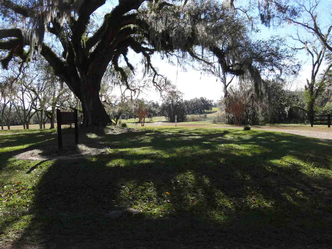 Tbd Bellamy Road, Unit 1 Monticello, FL 32344 - Photo 1 of 12 Gallery Image 1