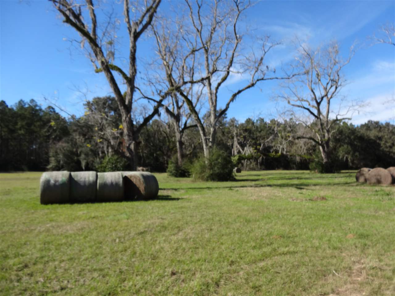 Tbd Bellamy Road, Unit 1 Monticello, FL 32344 - Photo 11 of 12 Gallery Image 11