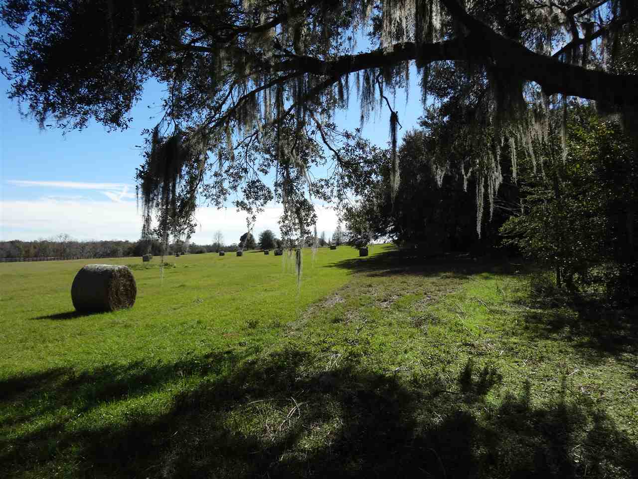 Tbd Bellamy Road, Unit 1 Monticello, FL 32344 - Photo 2 of 12 Gallery Image 2