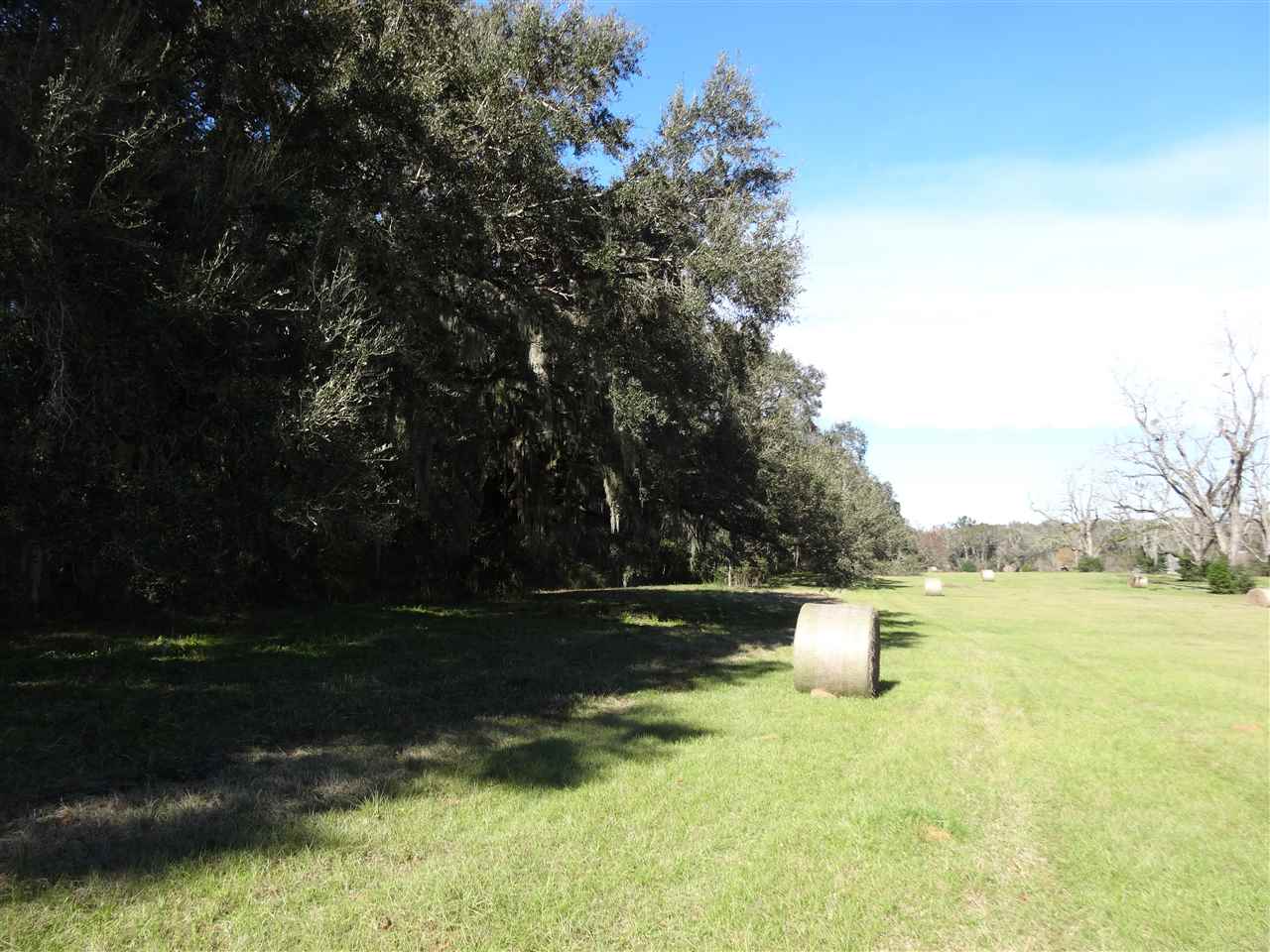 Tbd Bellamy Road, Unit 1 Monticello, FL 32344 - Photo 4 of 12 Gallery Image 4