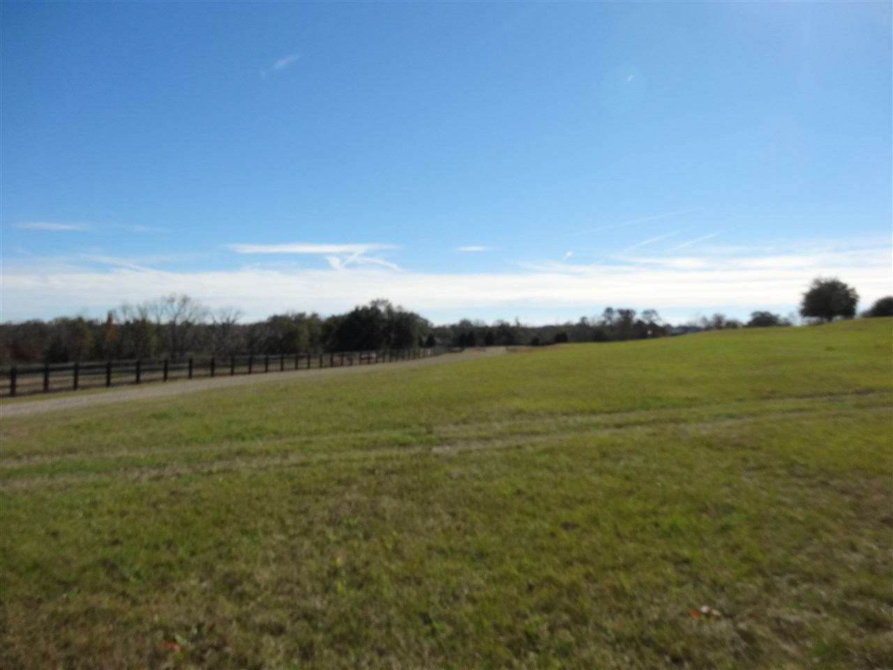 Tbd Bellamy Road, Unit 1 Monticello, FL 32344 - Photo 5 of 12 Gallery Image 5
