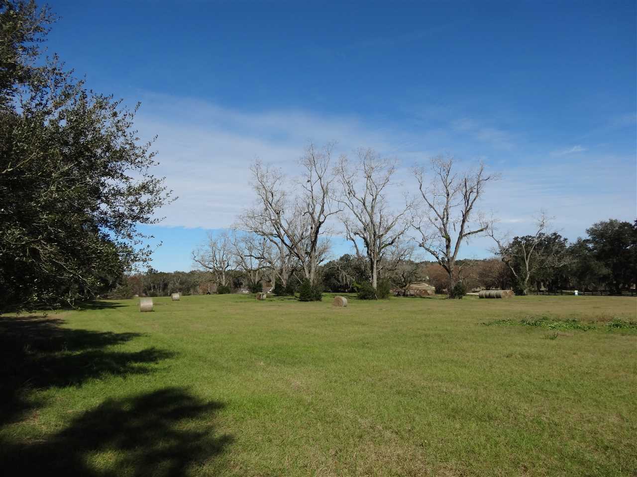 Tbd Bellamy Road, Unit 1 Monticello, FL 32344 - Photo 6 of 12 Gallery Image 6